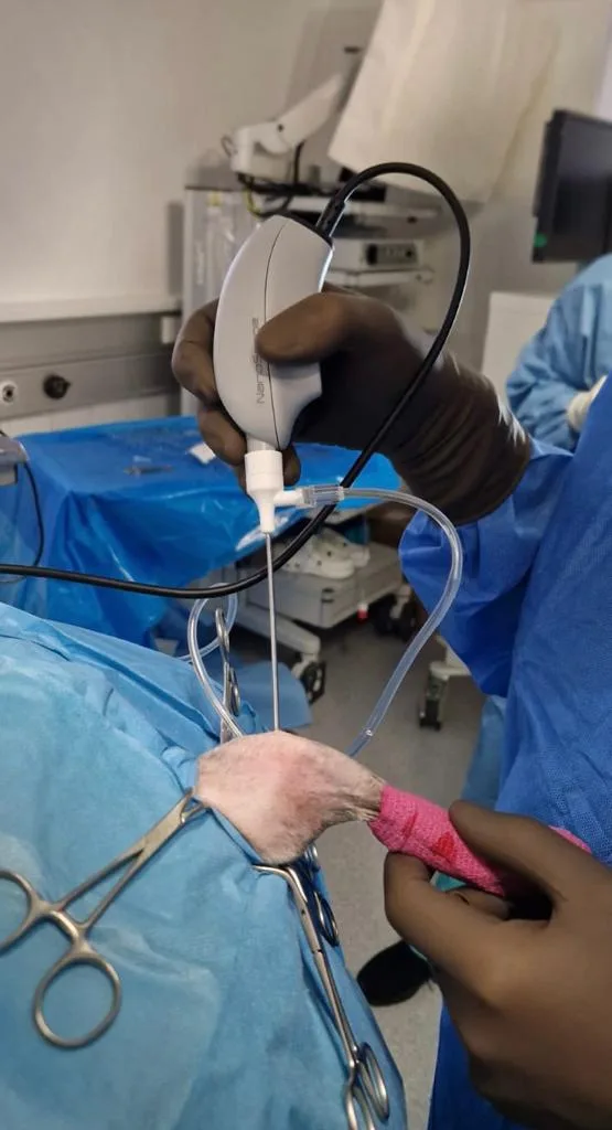 Nanoscopy of the stifle joint – arthroscope being introduced into the joint